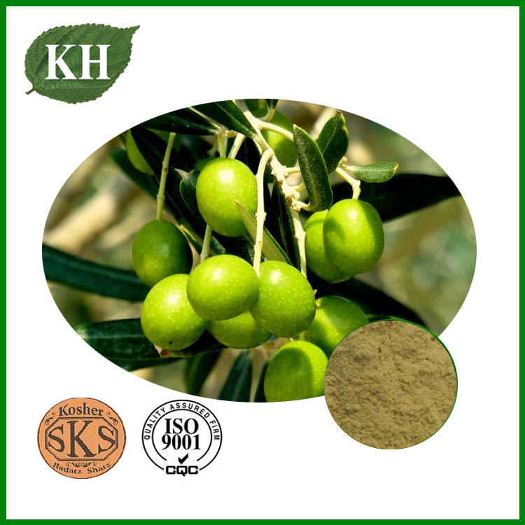 What Makes Olive Extract Powder a Potent Antioxidant Ingredient?